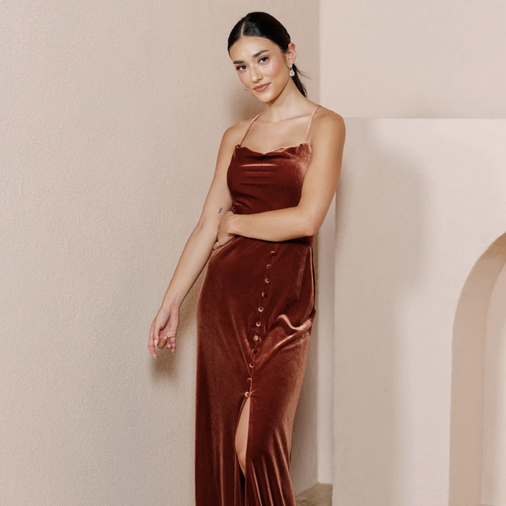 Revelry "Billie" Velvet Dress - terracotta